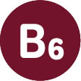 Logo B6 Potro de Navarra